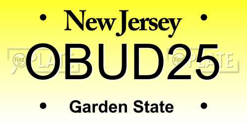 OBUD25 New Jersey License Plate