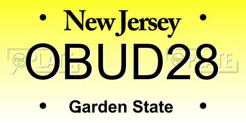OBUD28 New Jersey License Plate