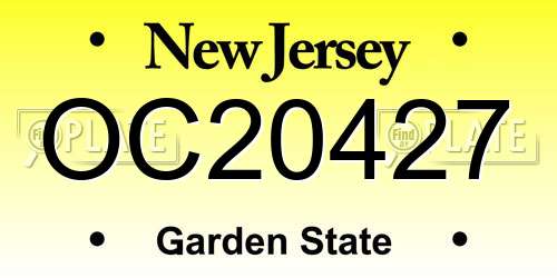 OC20427 New Jersey License Plate