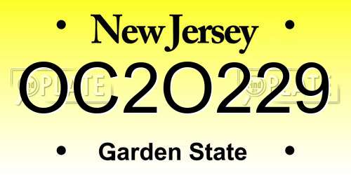 OC2O229 New Jersey License Plate