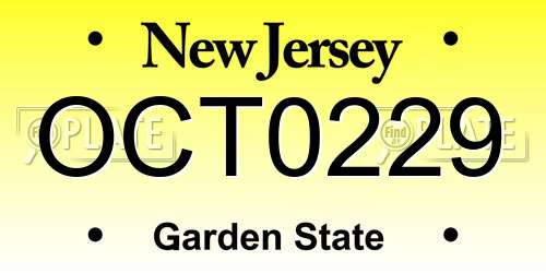 OCT0229 New Jersey License Plate