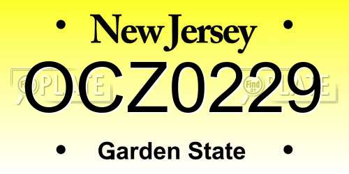 OCZ0229 New Jersey License Plate