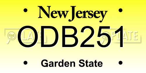 ODB251 New Jersey License Plate