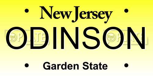 ODINSON New Jersey License Plate