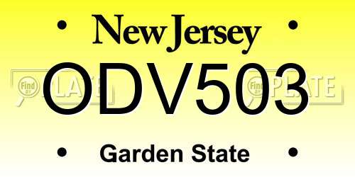 ODV503 New Jersey License Plate