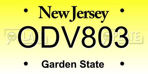 ODV803 New Jersey License Plate