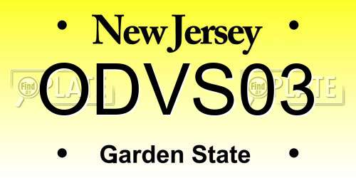 ODVS03 New Jersey License Plate