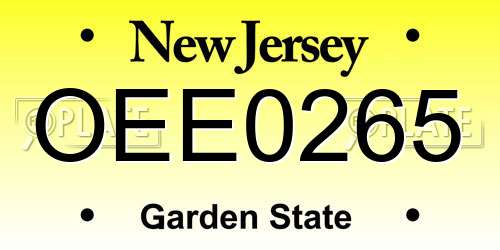 OEE0265 New Jersey License Plate
