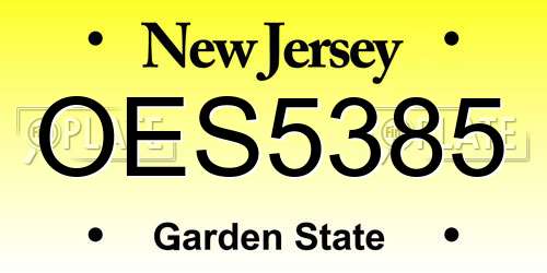 OES5385 New Jersey License Plate