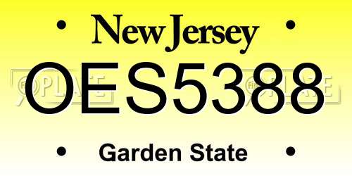 OES5388 New Jersey License Plate