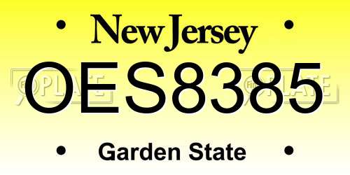 OES8385 New Jersey License Plate