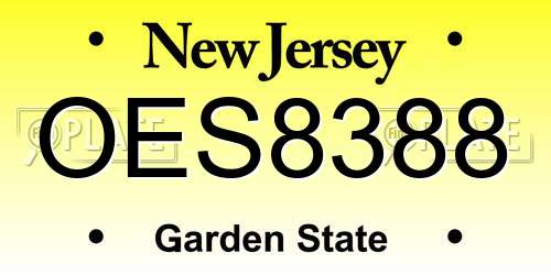 OES8388 New Jersey License Plate