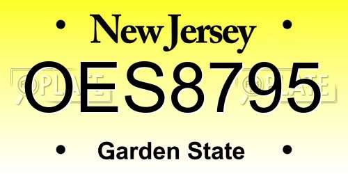 OES8795 New Jersey License Plate