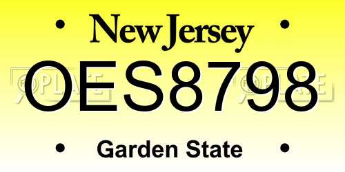 OES8798 New Jersey License Plate