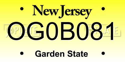 OG0B081 New Jersey License Plate