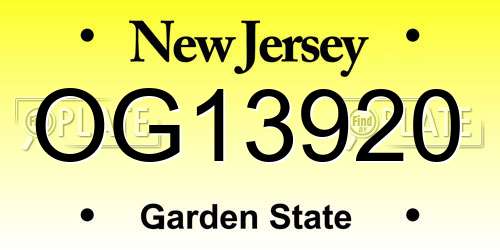 OG13920 New Jersey License Plate