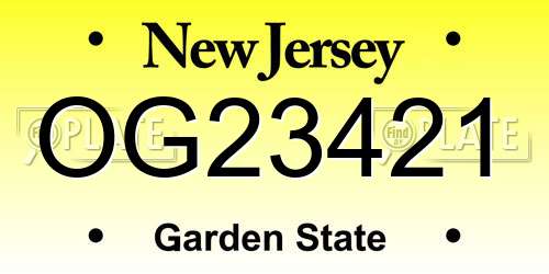 OG23421 New Jersey License Plate