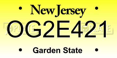 OG2E421 New Jersey License Plate