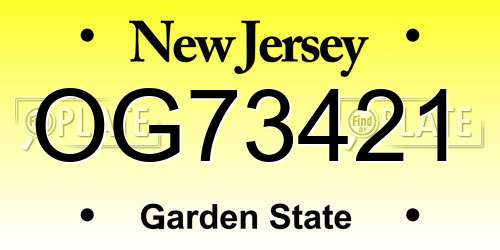 OG73421 New Jersey License Plate