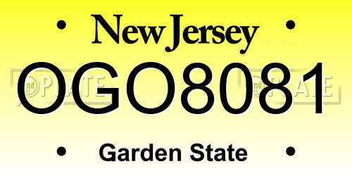 OGO8081 New Jersey License Plate