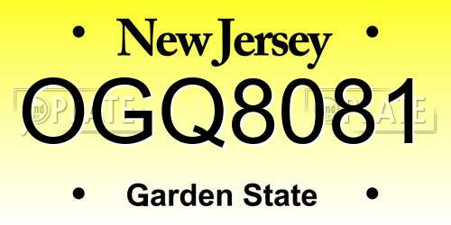 OGQ8081 New Jersey License Plate