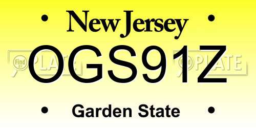 OGS91Z New Jersey License Plate