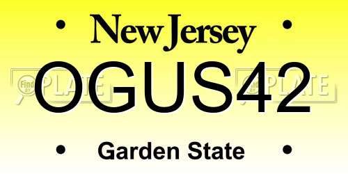 OGUS42 New Jersey License Plate