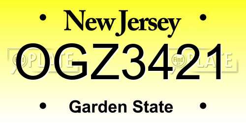 OGZ3421 New Jersey License Plate