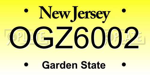 OGZ6002 New Jersey License Plate
