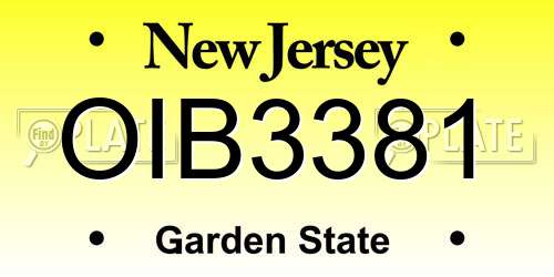 OIB3381 New Jersey License Plate