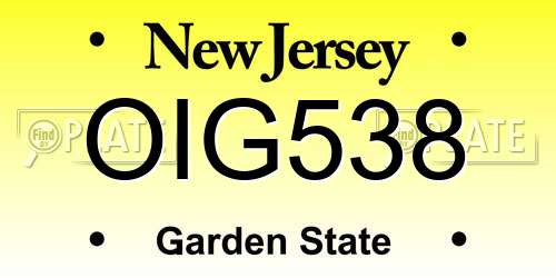 OIG538 New Jersey License Plate