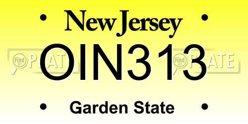 OIN313 New Jersey License Plate