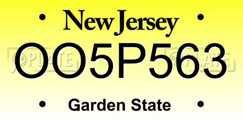 OO5P563 New Jersey License Plate