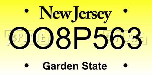 OO8P563 New Jersey License Plate