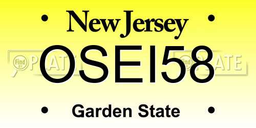 OSEI58 New Jersey License Plate