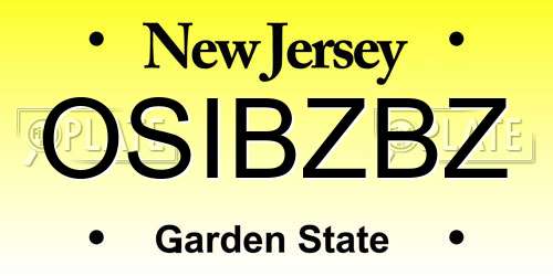 OSIBZBZ New Jersey License Plate