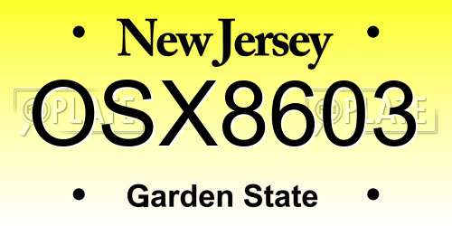 OSX8603 New Jersey License Plate