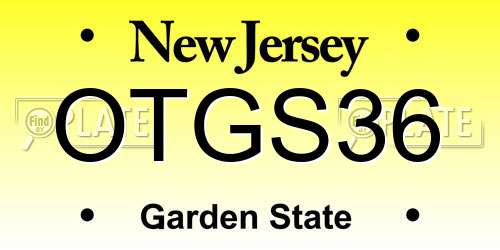 OTGS36 New Jersey License Plate