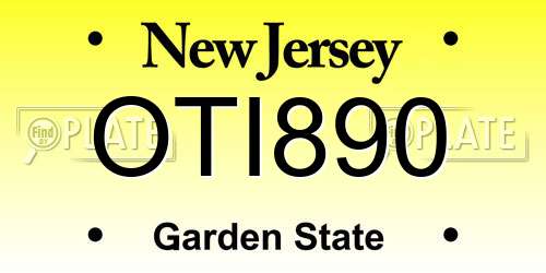 OTI890 New Jersey License Plate