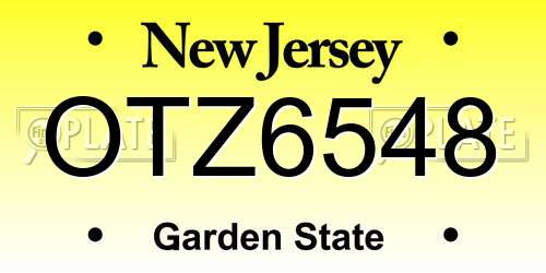 OTZ6548 New Jersey License Plate