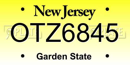 OTZ6845 New Jersey License Plate