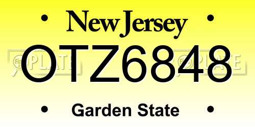 OTZ6848 New Jersey License Plate