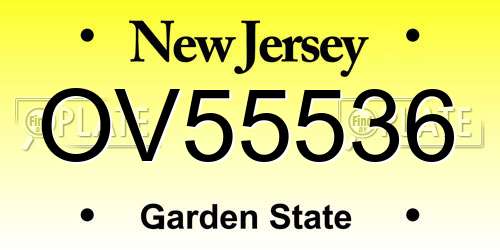 OV55536 New Jersey License Plate