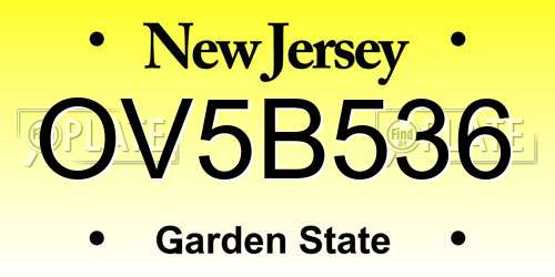 OV5B536 New Jersey License Plate