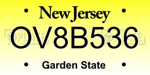 OV8B536 New Jersey License Plate