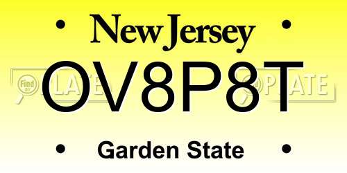 OV8P8T New Jersey License Plate