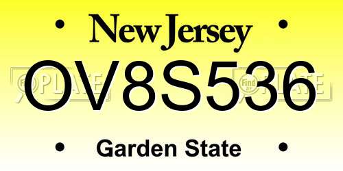 OV8S536 New Jersey License Plate