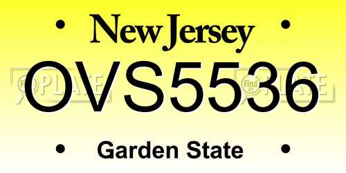 OVS5536 New Jersey License Plate