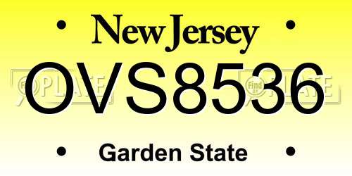 OVS8536 New Jersey License Plate