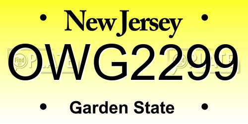 OWG2299 New Jersey License Plate